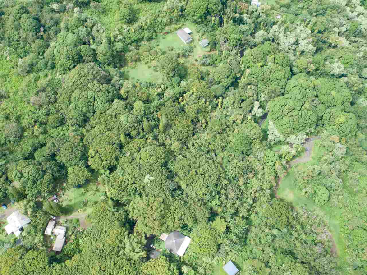 772 Lower Nahiku Road Hana, HI 96713 - Photo 16 of 20 a view of a lush green field