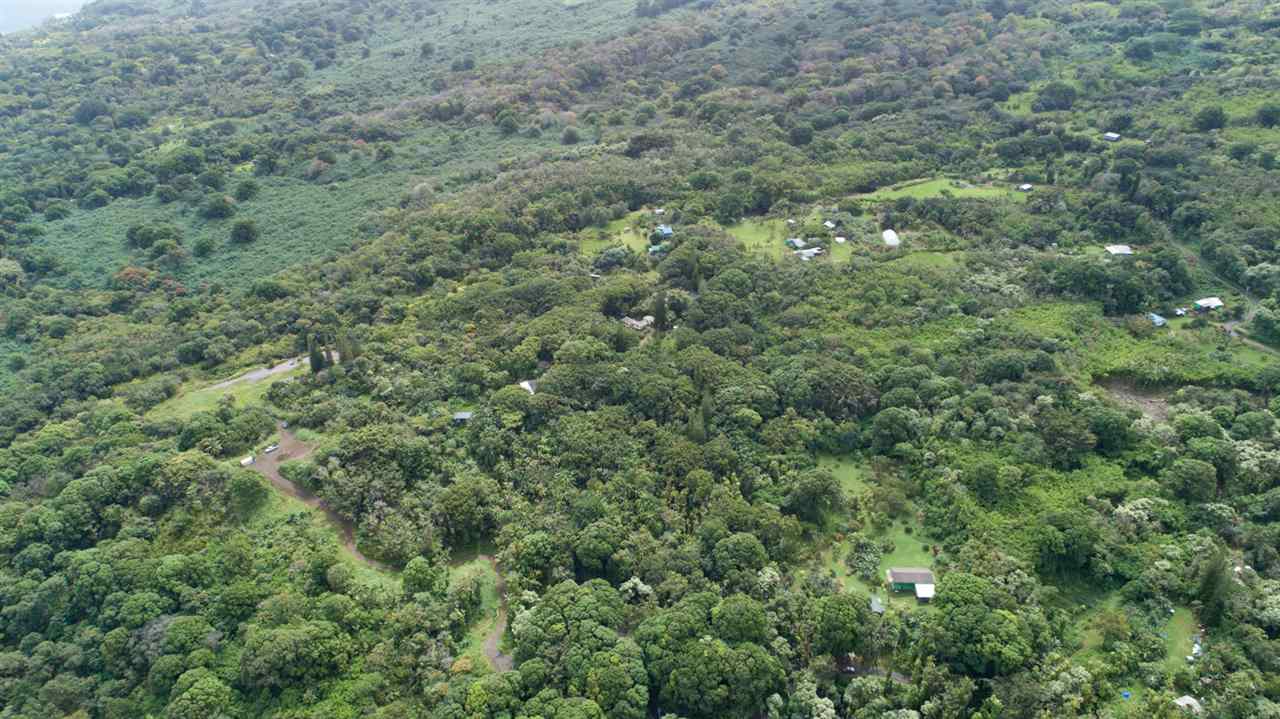 772 Lower Nahiku Road Hana, HI 96713 - Photo 17 of 20 an aerial view of residential house with space and trees all around