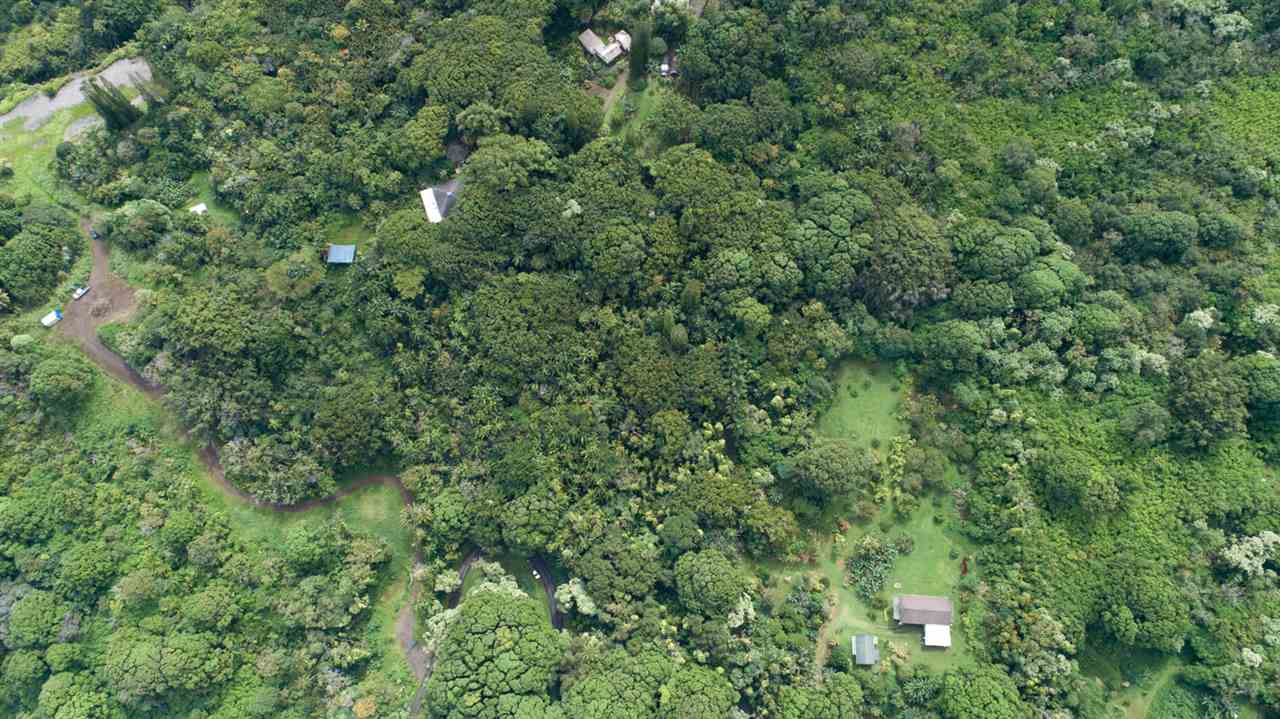 772 Lower Nahiku Road Hana, HI 96713 - Photo 18 of 20 an outdoor view of trees