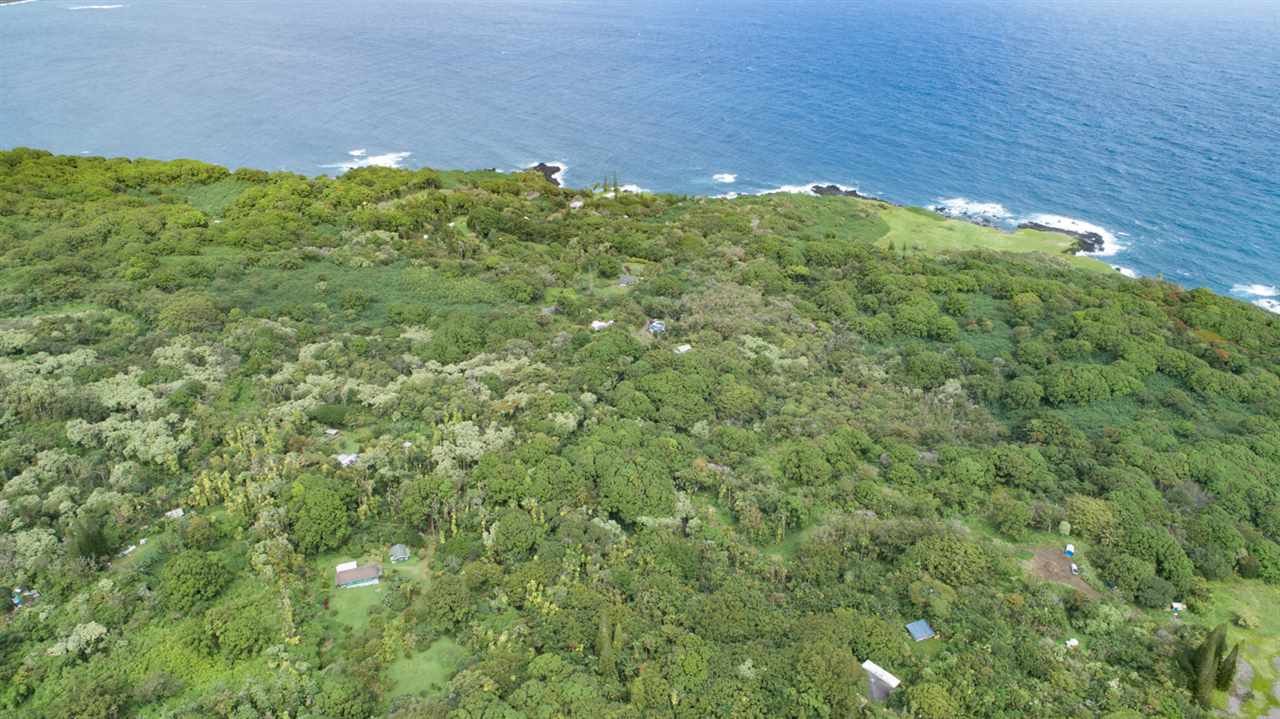 772 Lower Nahiku Road Hana, HI 96713 - Photo 20 of 20 a view of a big yard