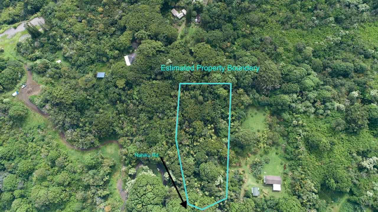 772 Lower Nahiku Road Hana, HI 96713 - Photo 2 of 20 a view of a lush green forest
