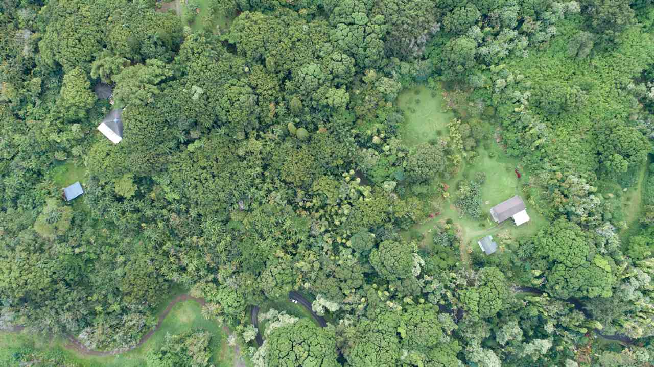 772 Lower Nahiku Road Hana, HI 96713 - Photo 3 of 20 a view of a lush green forest