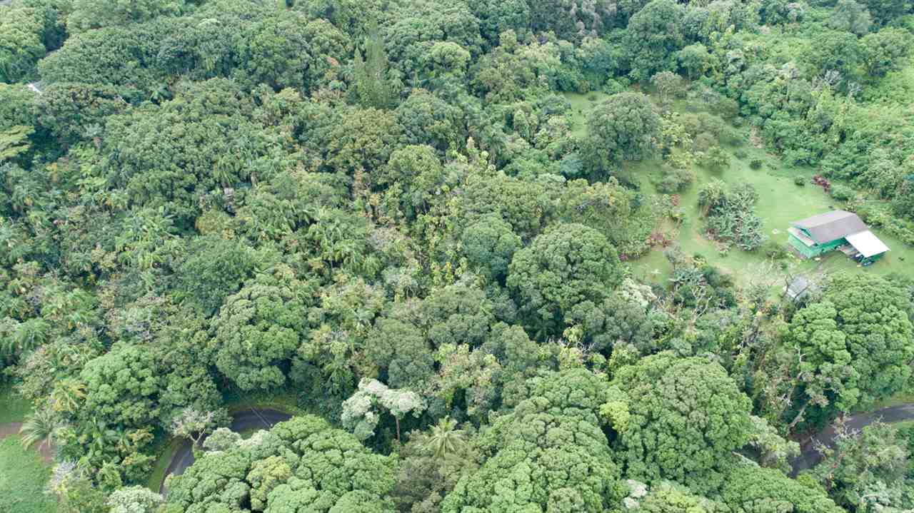772 Lower Nahiku Road Hana, HI 96713 - Photo 4 of 20 an aerial view of residential house with outdoor space and trees all around