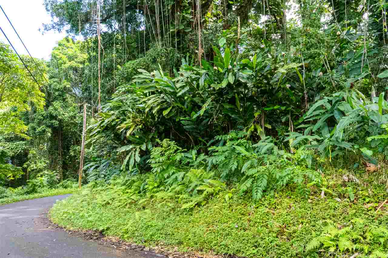 772 Lower Nahiku Road Hana, HI 96713 - Photo 9 of 20 a view of a garden