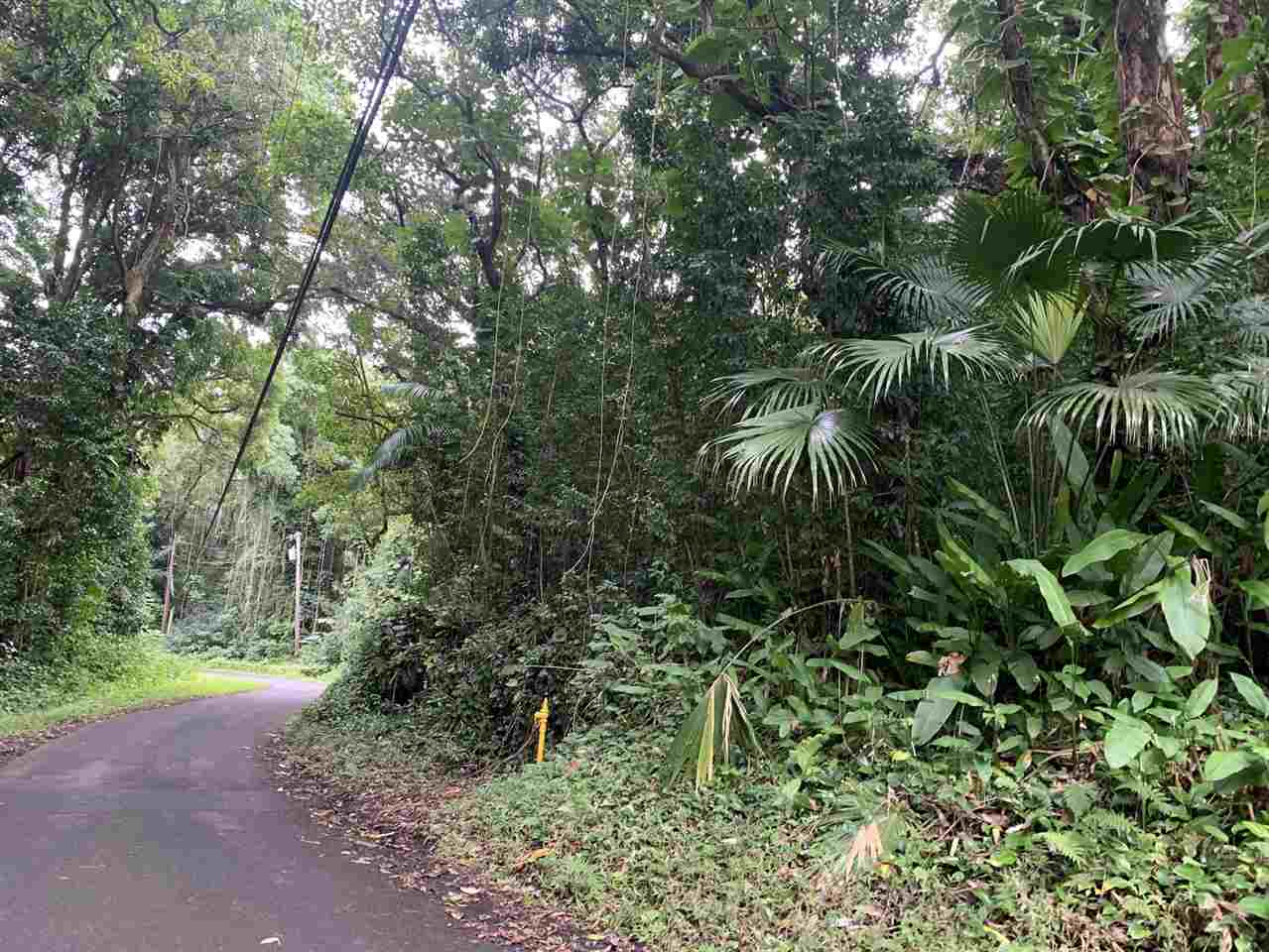 772 Lower Nahiku Road Hana, HI 96713 - Photo 10 of 20
