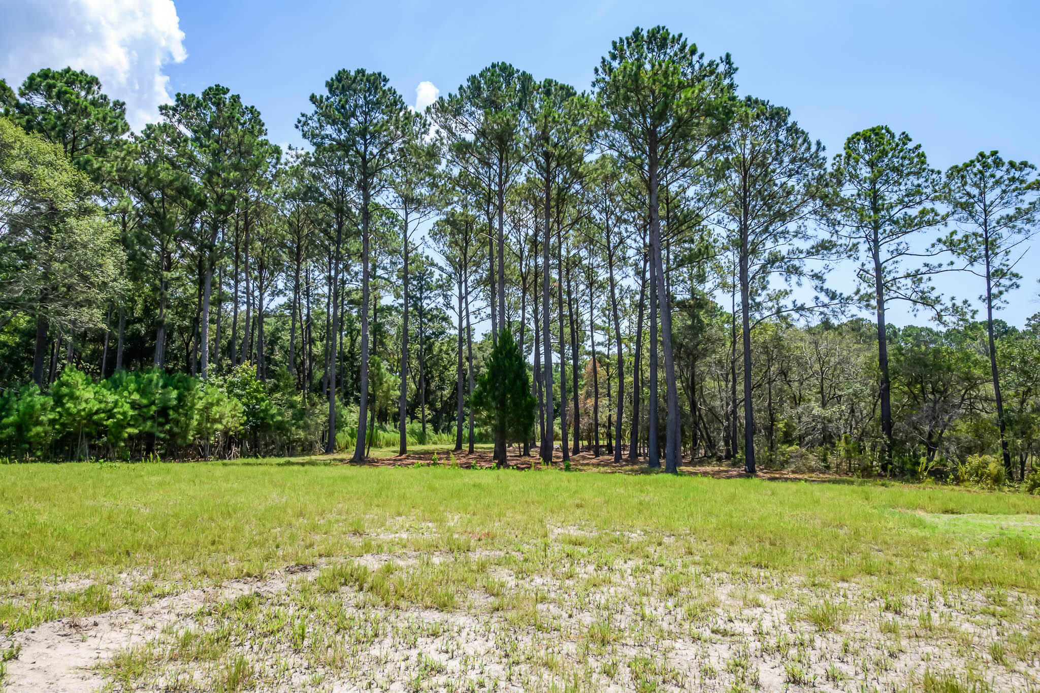6258 Josie Ridge Road Wadmalaw Island, SC 29487 - Photo 29 of 43 HFL_6258 JOSIE RIDGE-27