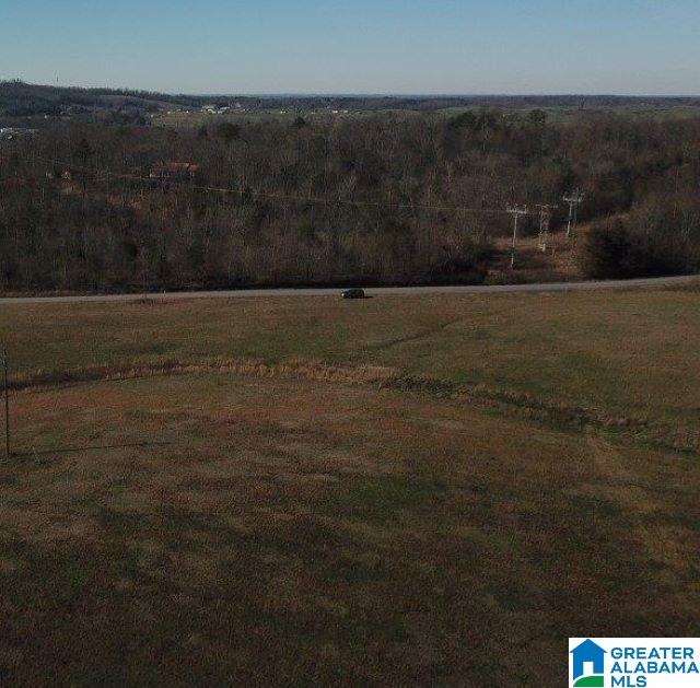 0 Posey Road, Unit TRACT 2 Blountsville, AL 35031 - Photo 9 of 9