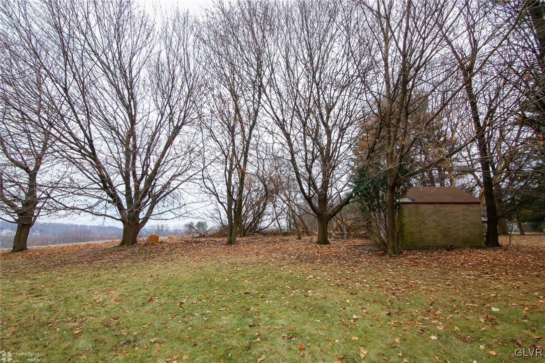 437 Hahn Road Nazareth, PA 18064 - Photo 34 of 38 a view of backyard and tree