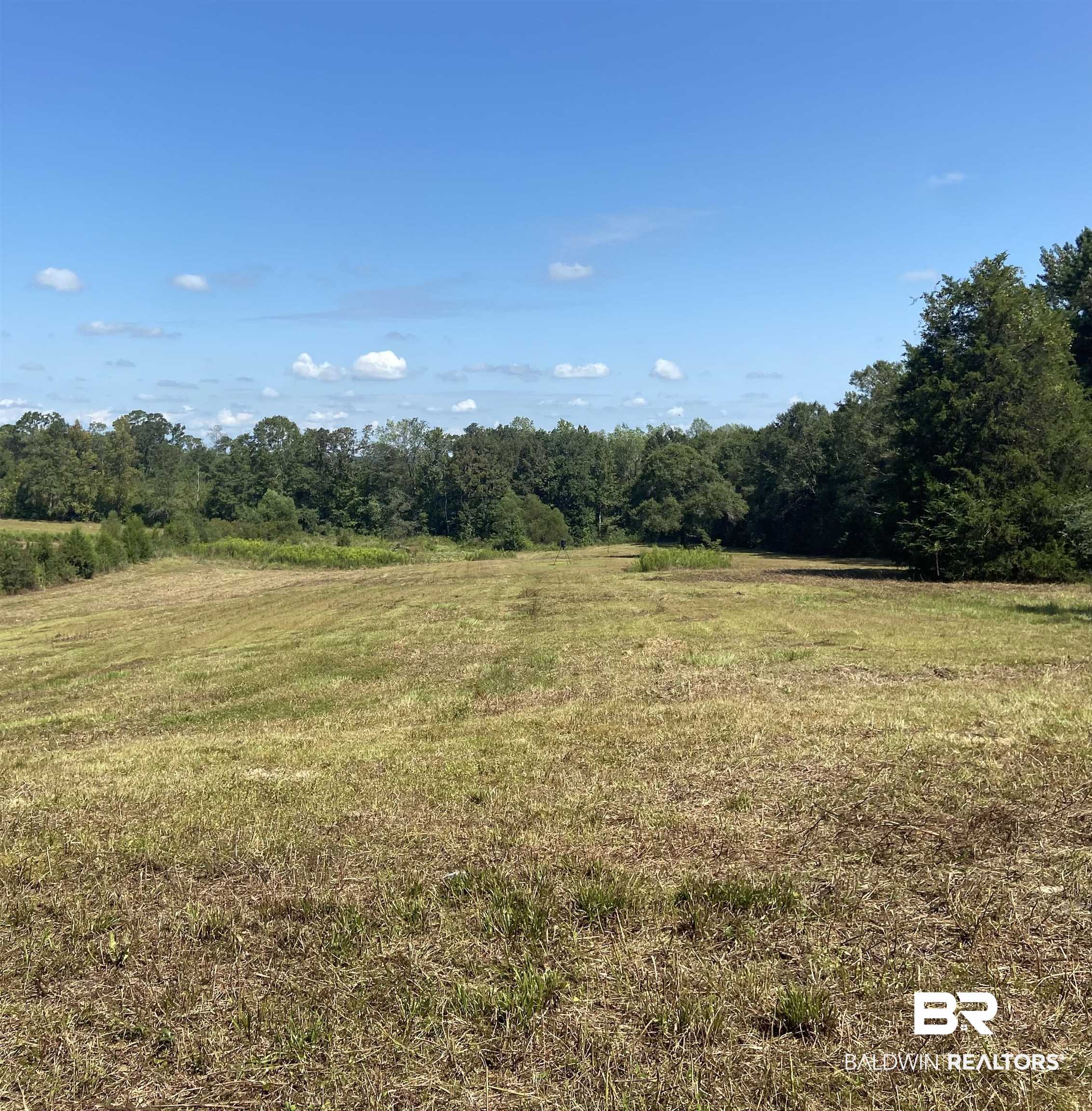186 London Circle Castleberry, AL 36432 - Photo 1 of 2