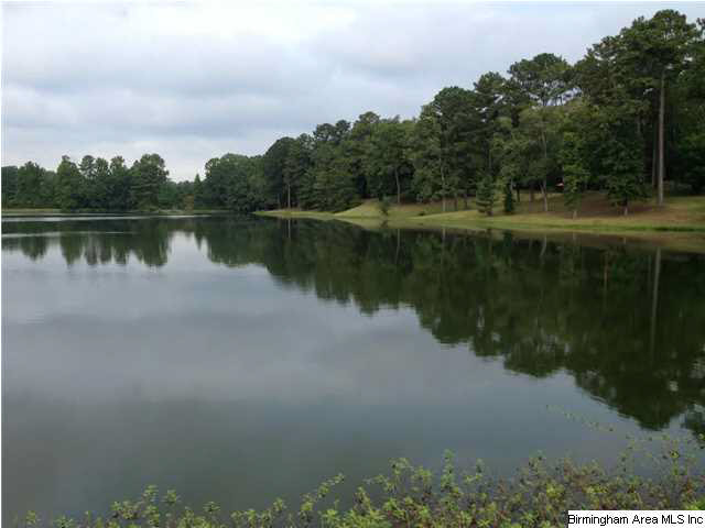 1277 Chelsea Road Columbiana, AL 35051 - Photo 6 of 6