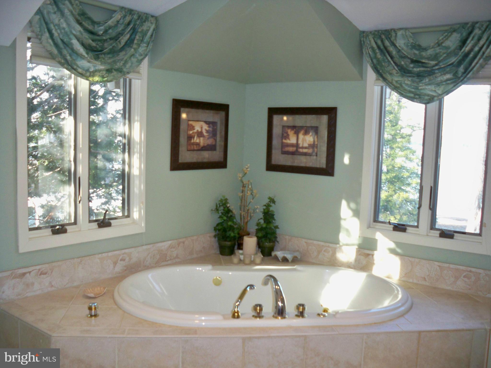 533 Stoney Battery Road Earleville, MD 21919 - Photo 12 of 29 5 piece with Spa Shower