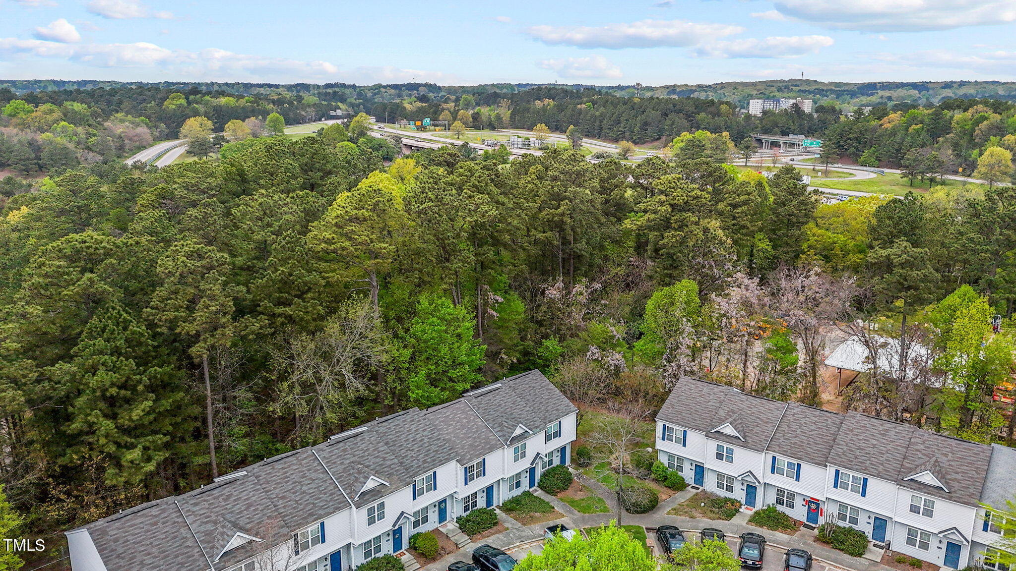 138 Blue Crest Lane Durham, NC 27705 - Photo 20 of 28 a view of lake with mountain view