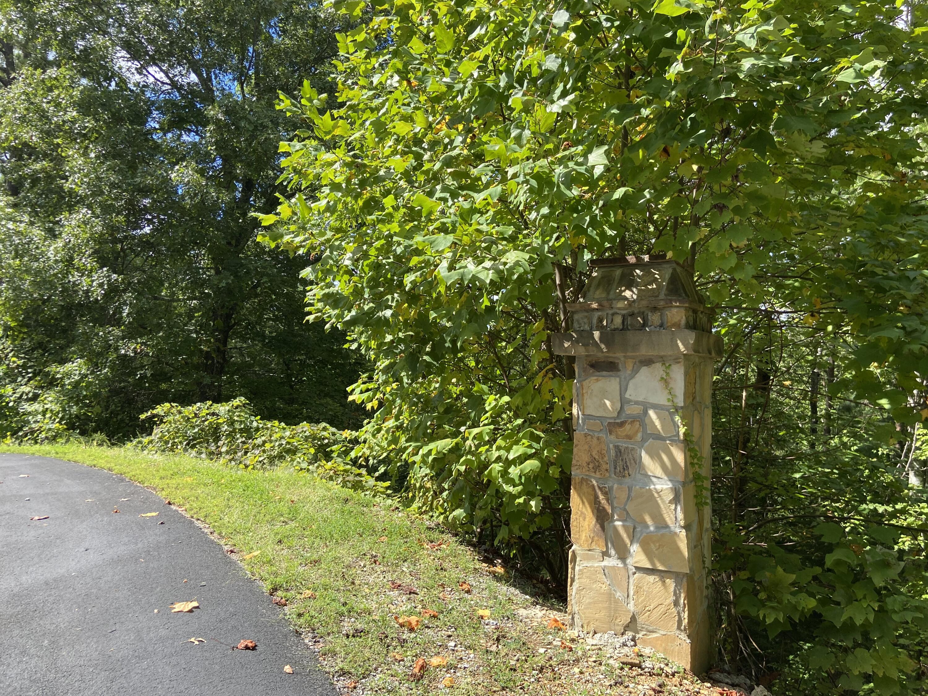 Long Rifle Road Sevierville, TN 37862 - Photo 1 of 13 Lot 119