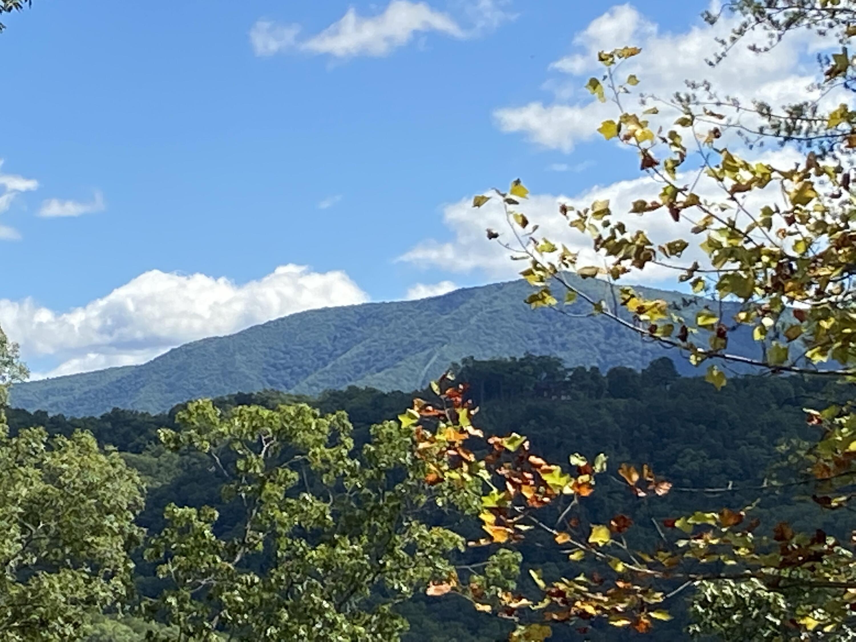 Long Rifle Road Sevierville, TN 37862 - Photo 2 of 13 Beautiful Neighborhood Views