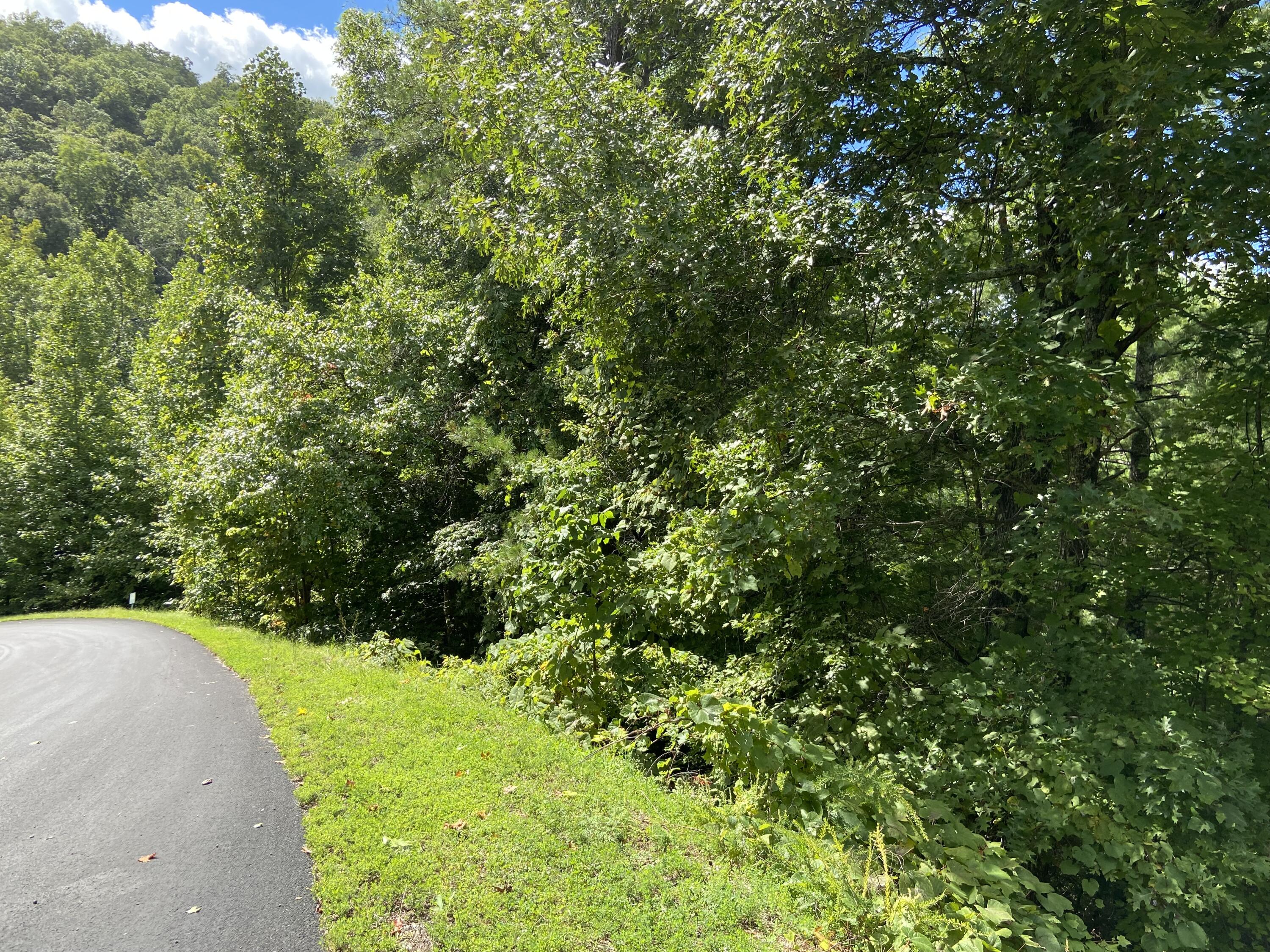 Long Rifle Road Sevierville, TN 37862 - Photo 3 of 13 2.61 Acres!