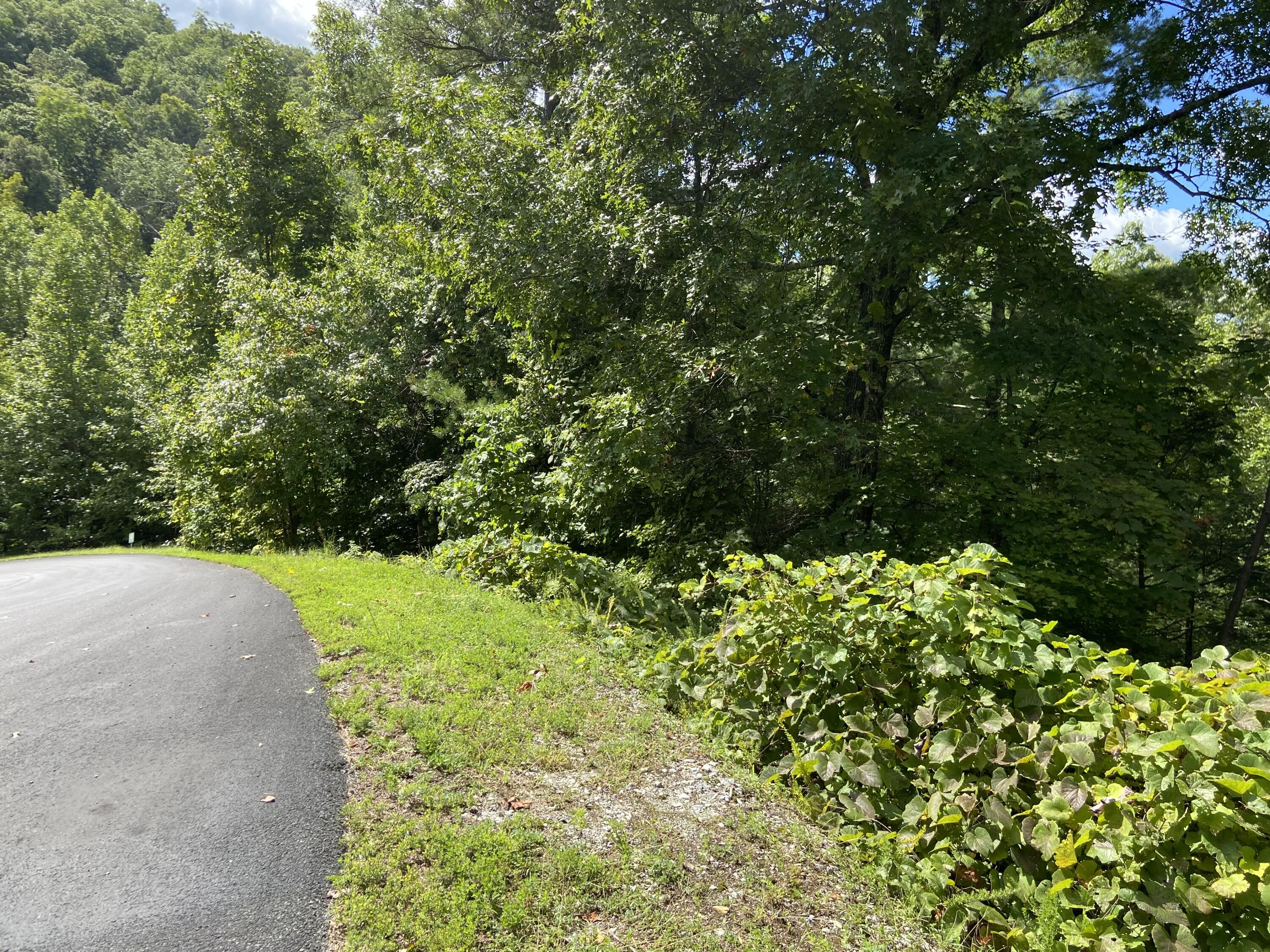 Long Rifle Road Sevierville, TN 37862 - Photo 7 of 13 Lot 119