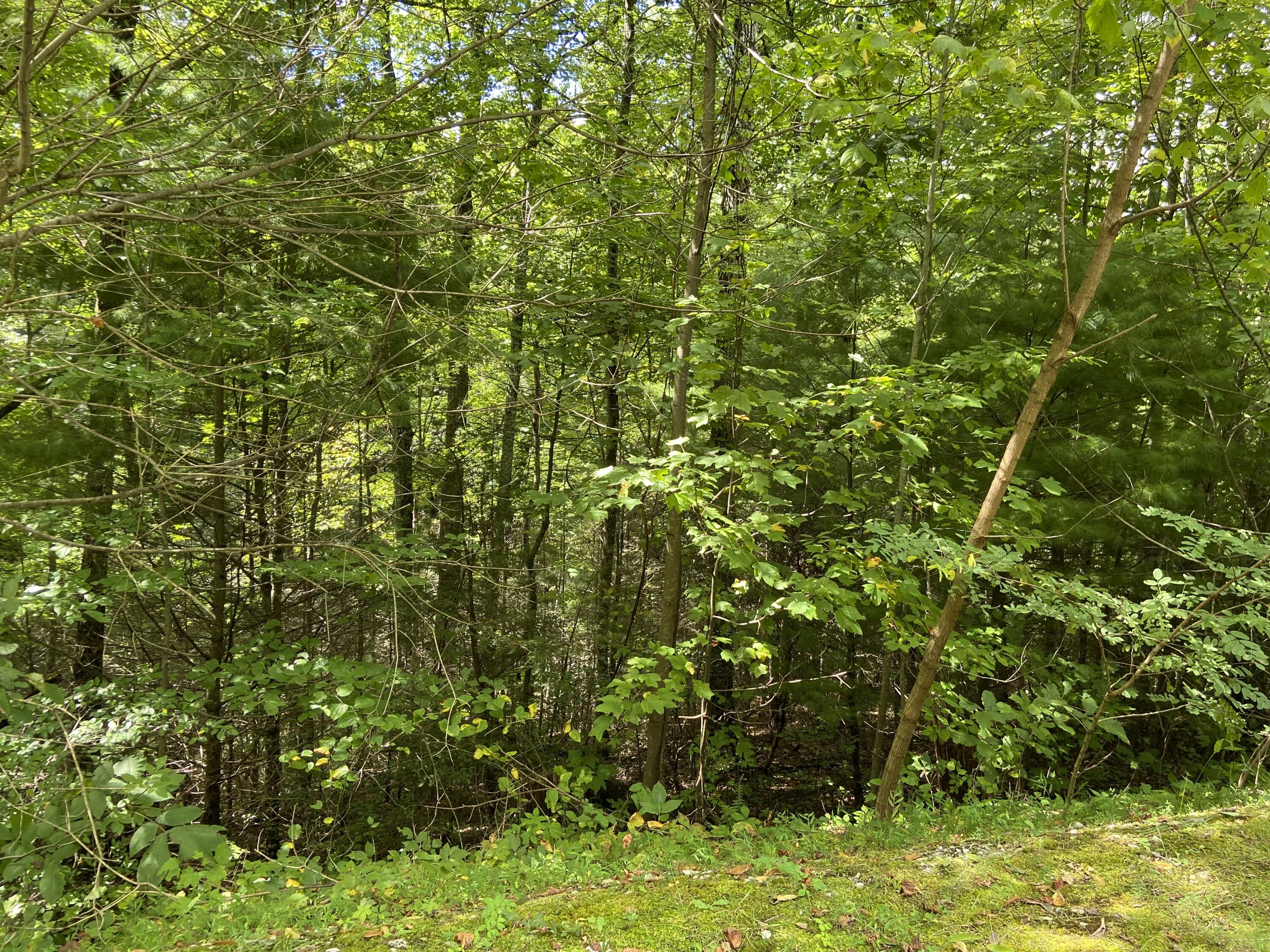 Long Rifle Road Sevierville, TN 37862 - Photo 8 of 13 Lot 119