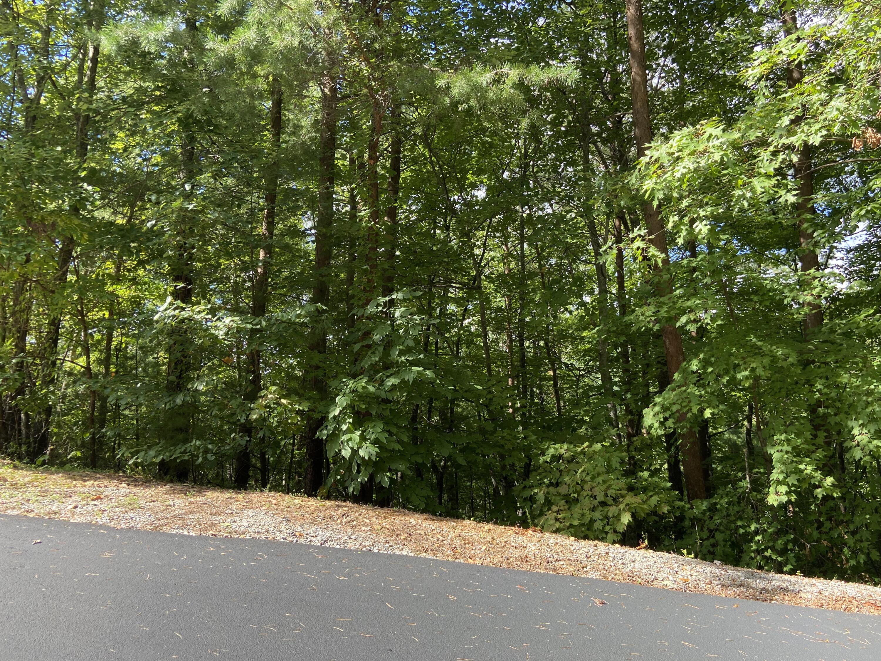 Long Rifle Road Sevierville, TN 37862 - Photo 9 of 13 Lot 119