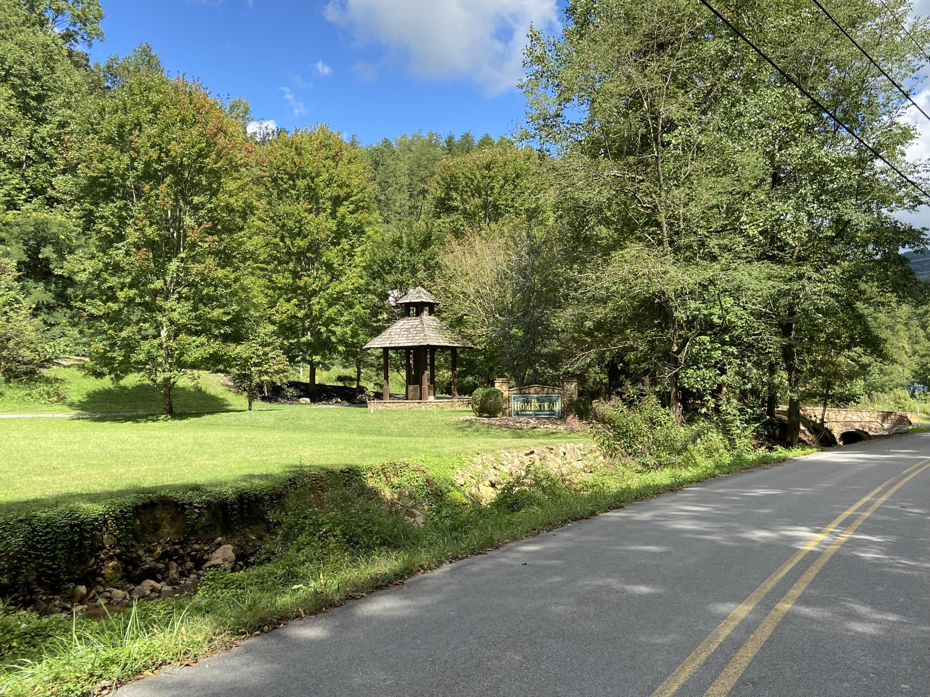 Long Rifle Road Sevierville, TN 37862 - Photo 10 of 13 Homestead Entrance