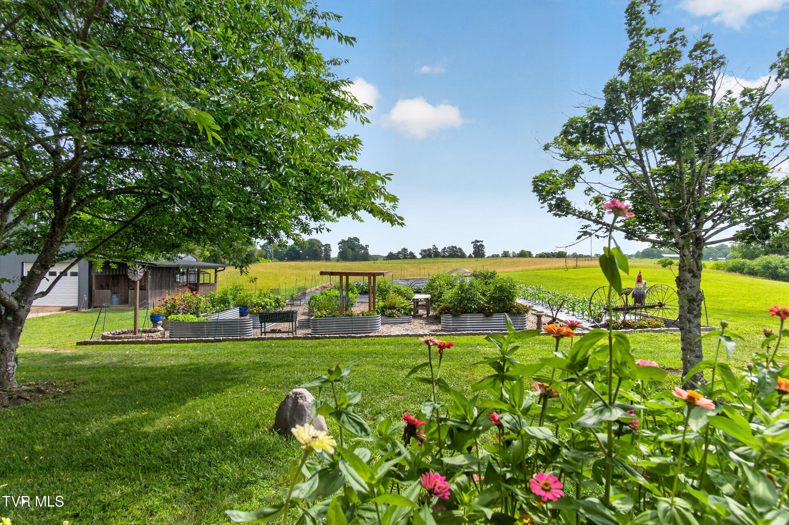 835 John Bird Road Afton, TN 37616 - Photo 128 of 158 DSC06750