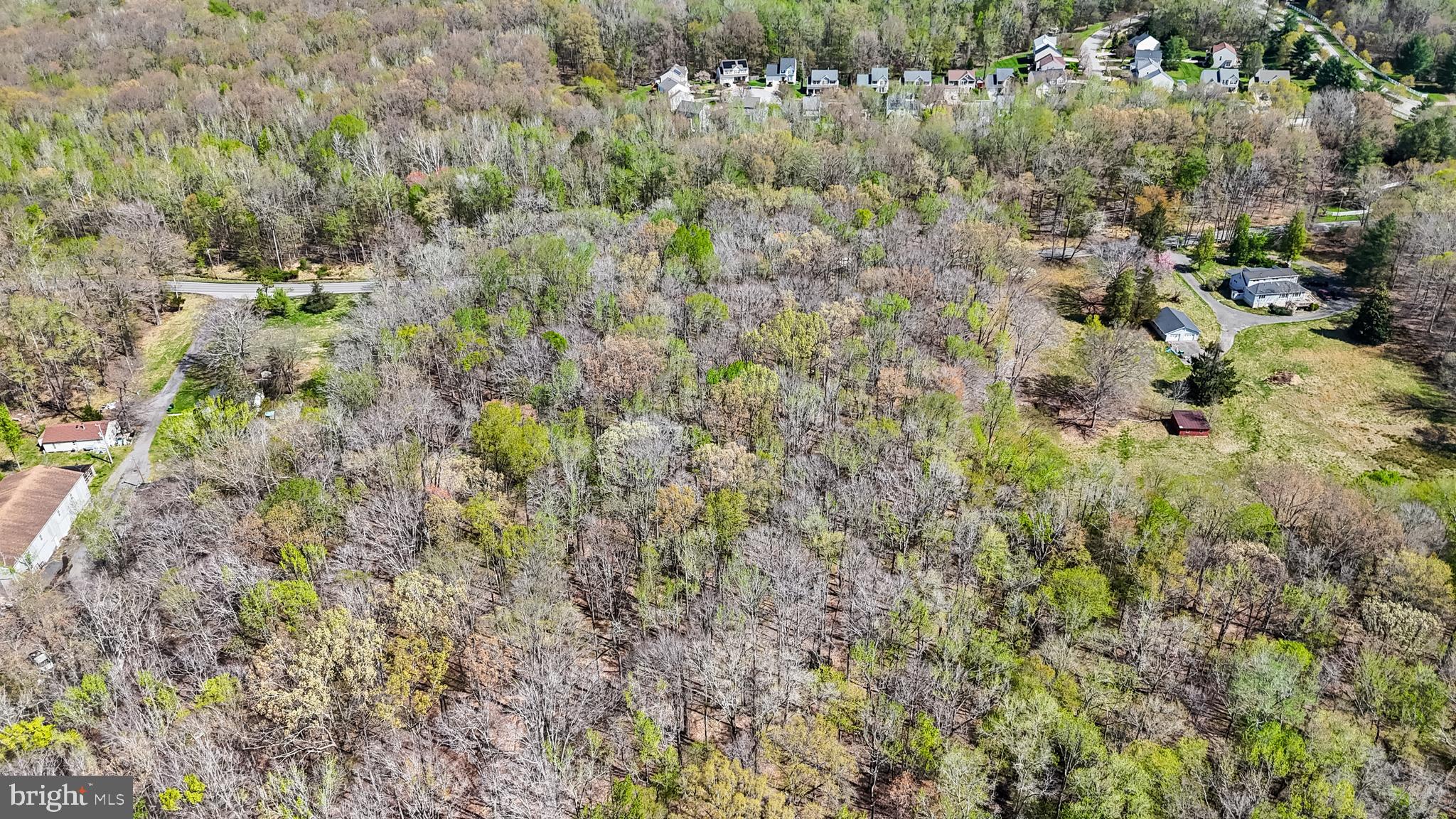 Lot 13 Billingsley Road White Plains, MD 20695 - Photo 11 of 20 a view of a yard