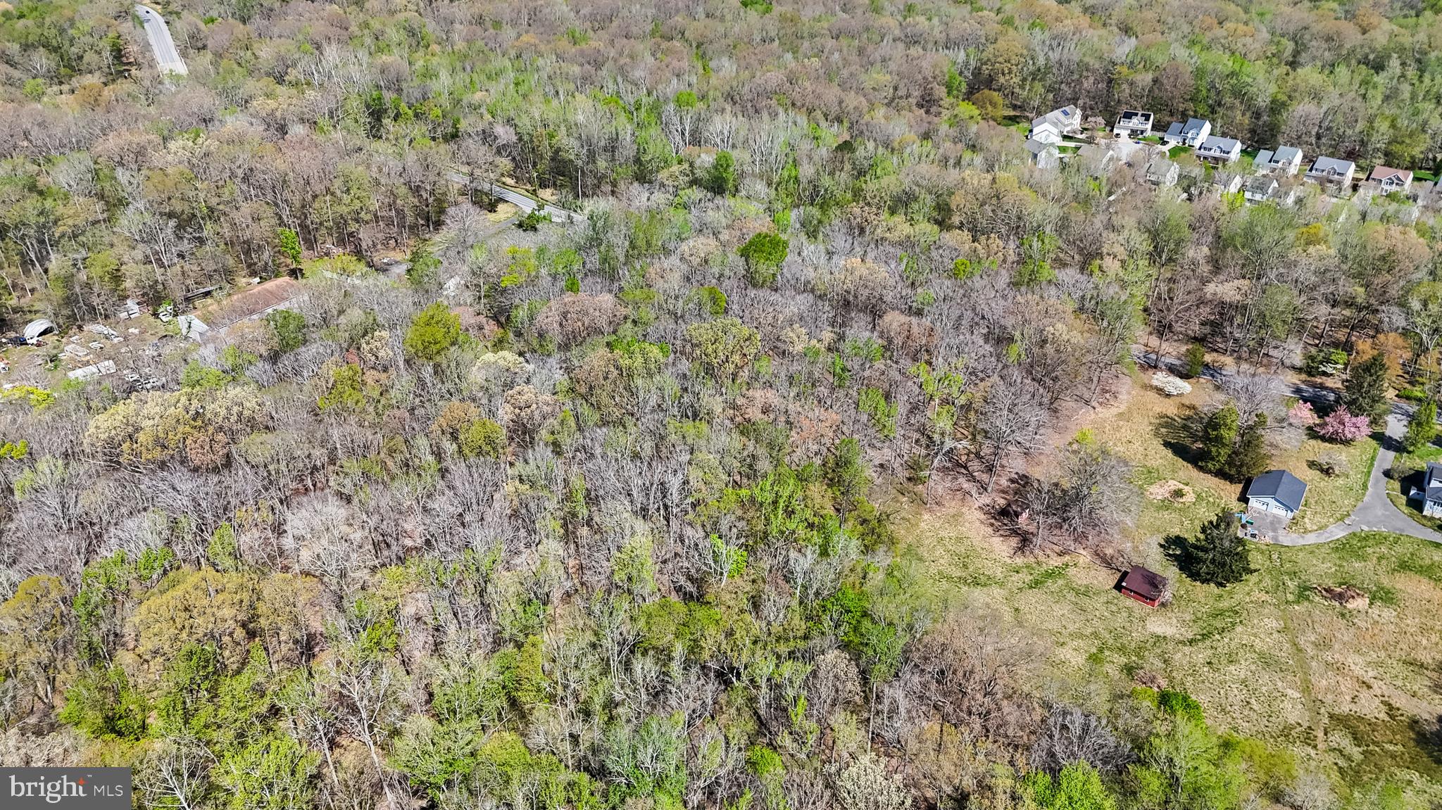 Lot 13 Billingsley Road White Plains, MD 20695 - Photo 13 of 20 a view of a lush green forest with lots of trees