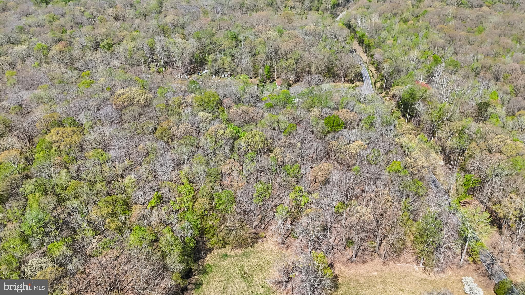 Lot 13 Billingsley Road White Plains, MD 20695 - Photo 14 of 20 a view of a dry yard with green space