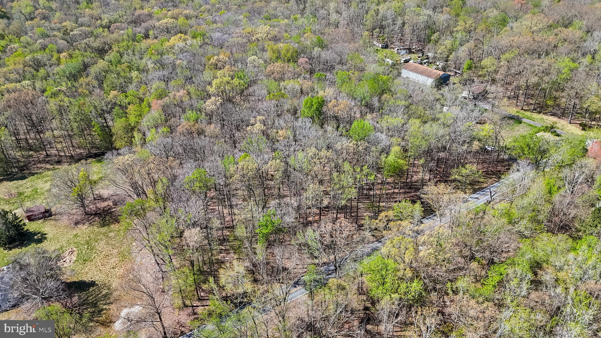 Lot 13 Billingsley Road White Plains, MD 20695 - Photo 17 of 20 a view of a forest with a tree