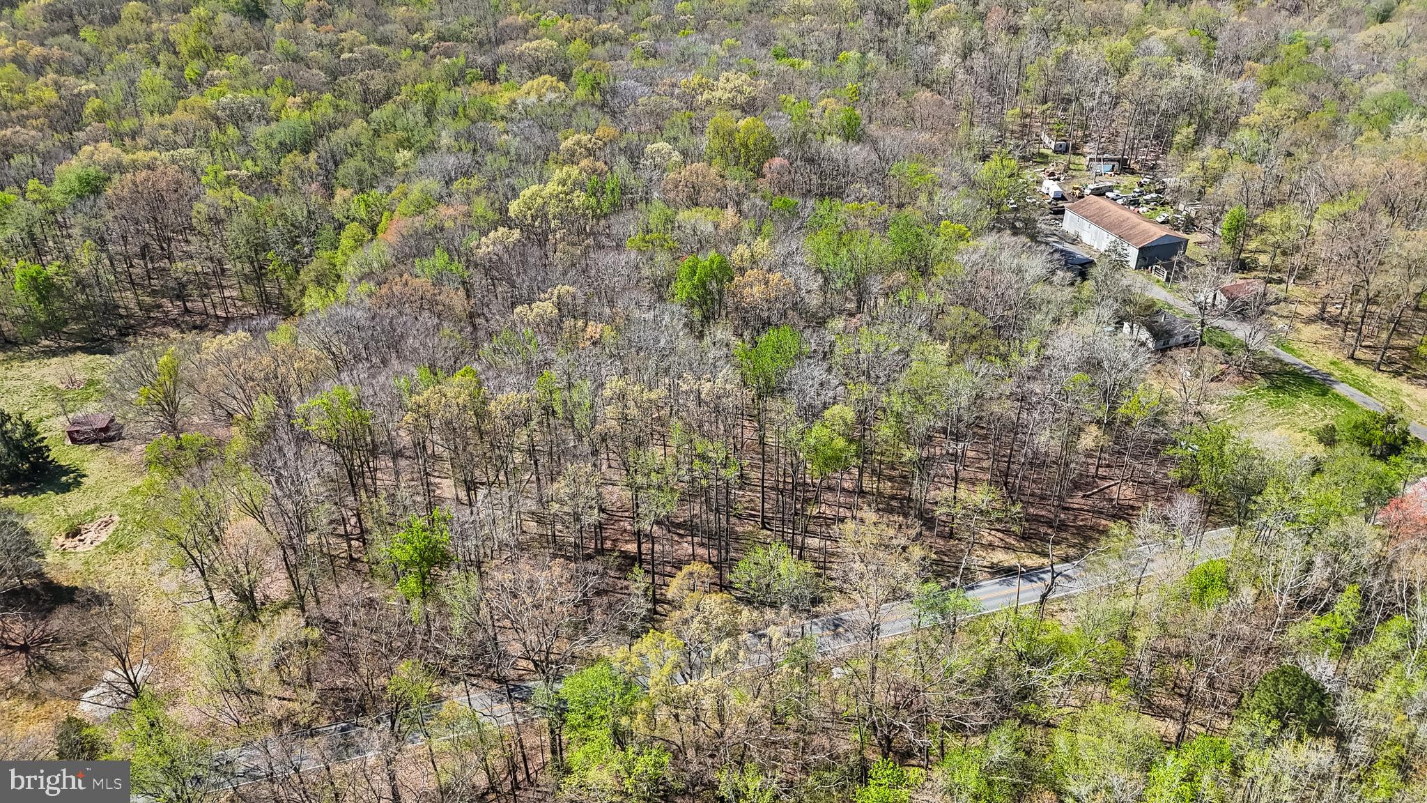 Lot 13 Billingsley Road White Plains, MD 20695 - Photo 18 of 20 a view of a forest with a tree