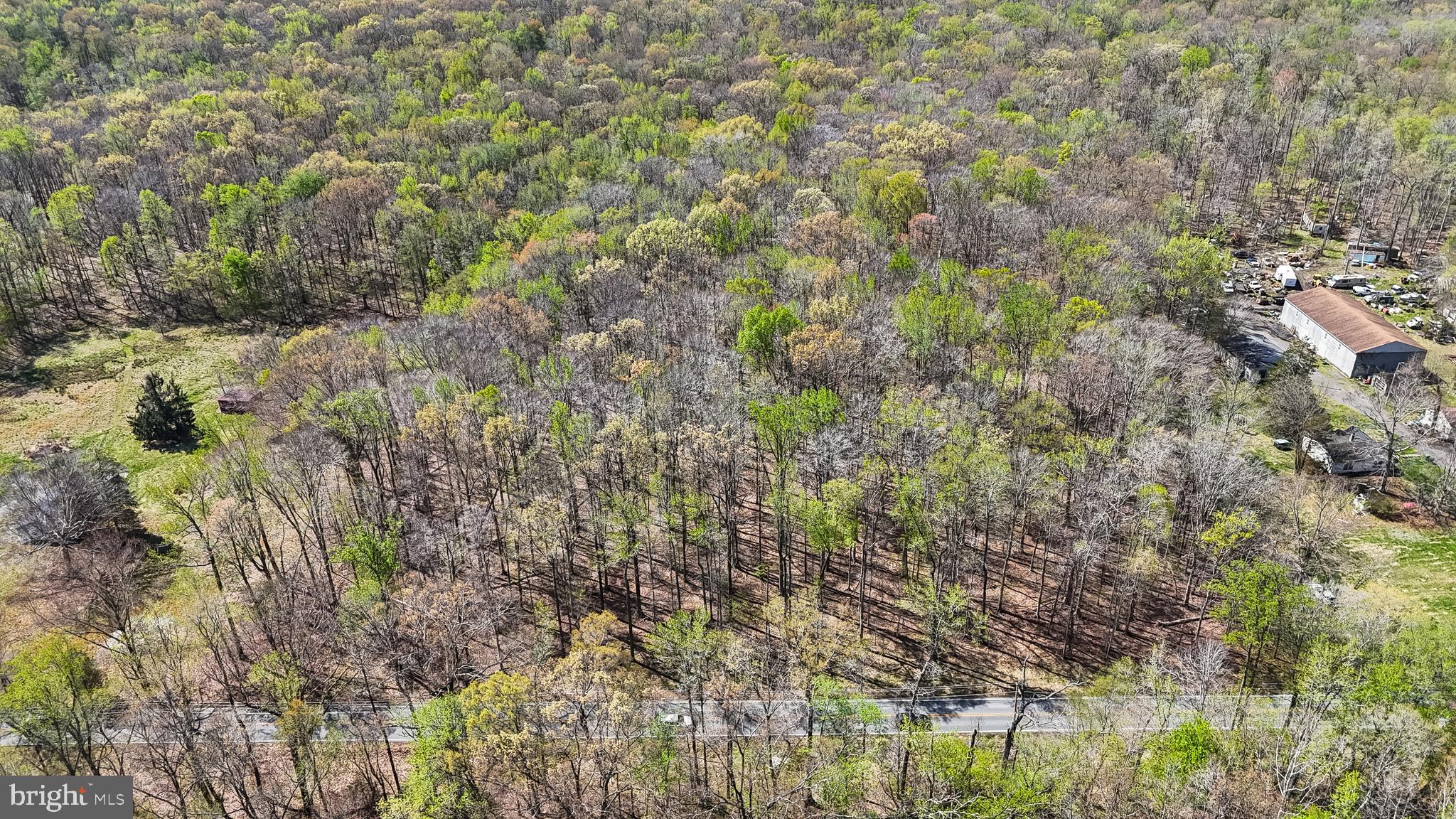 Lot 13 Billingsley Road White Plains, MD 20695 - Photo 19 of 20 a view of a yard