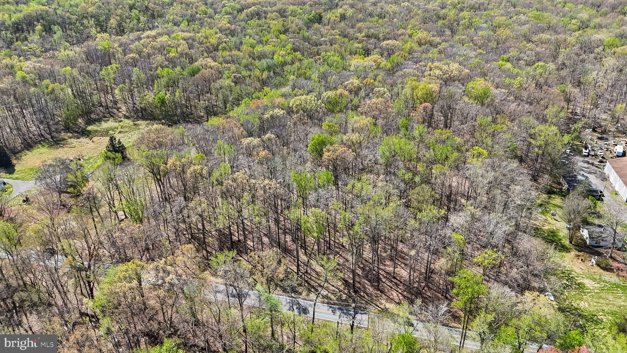 Lot 13 Billingsley Road White Plains, MD 20695 - Photo 20 of 20 a view of a forest with a tree