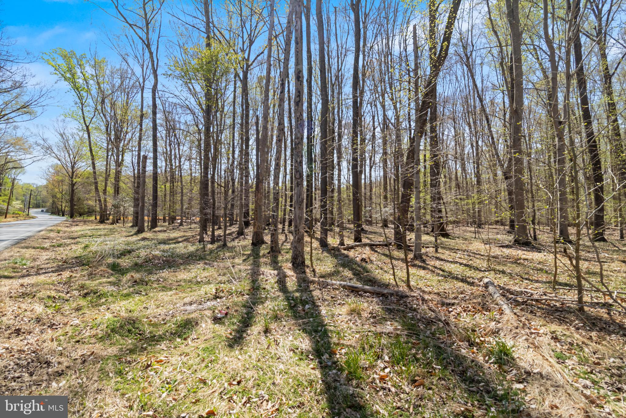 Lot 13 Billingsley Road White Plains, MD 20695 - Photo 3 of 20 a view of outdoor space with deck and trees