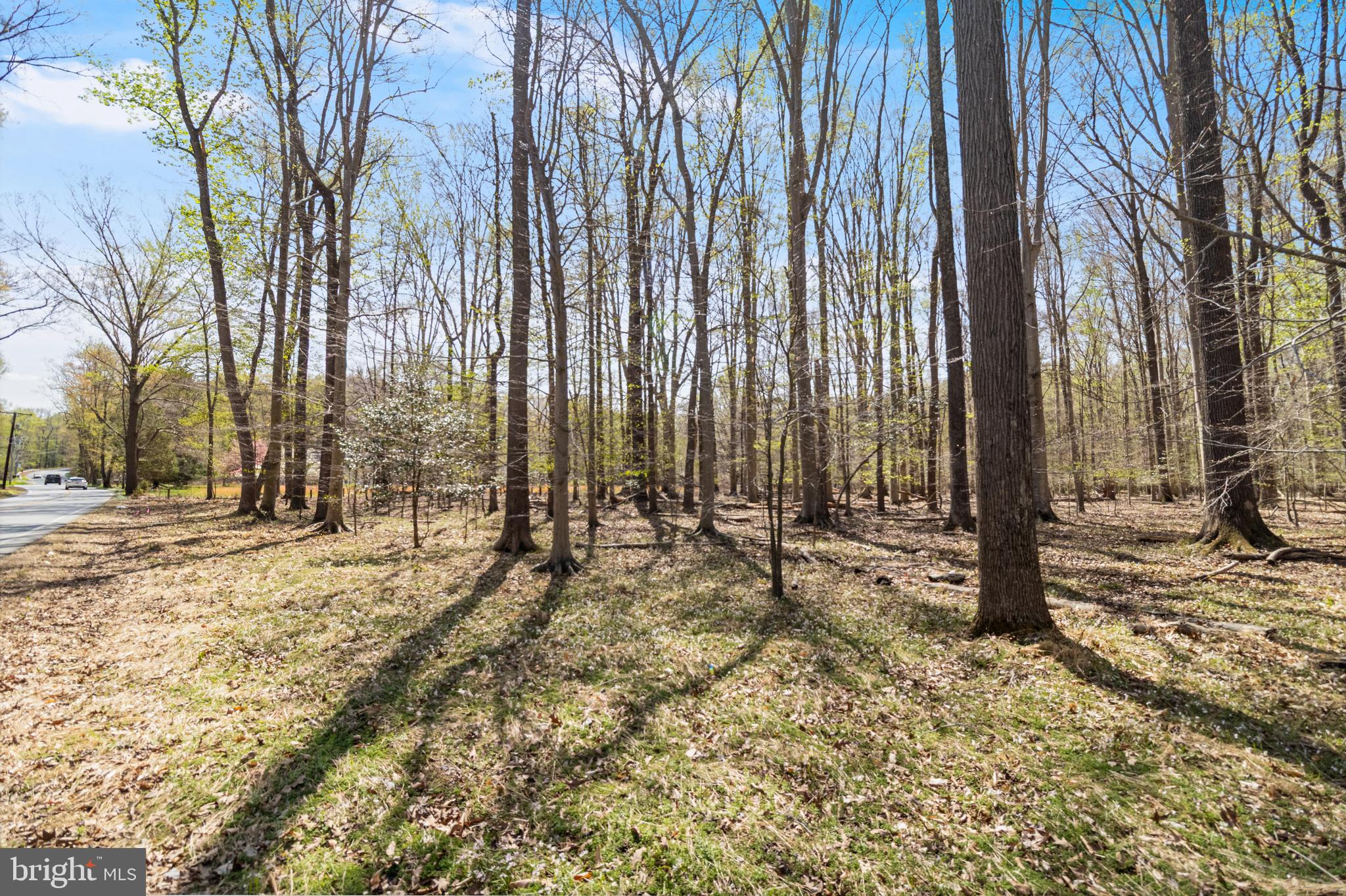 Lot 13 Billingsley Road White Plains, MD 20695 - Photo 4 of 20 a view of a backyard of the house