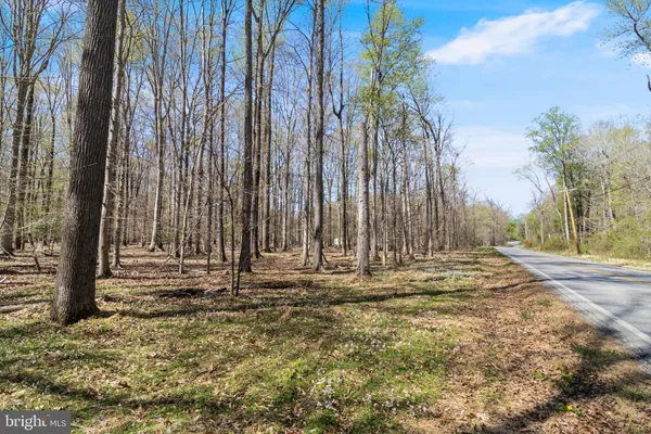 $99,999 | Lot 13 Billingsley Road, White Plains, MD 20695