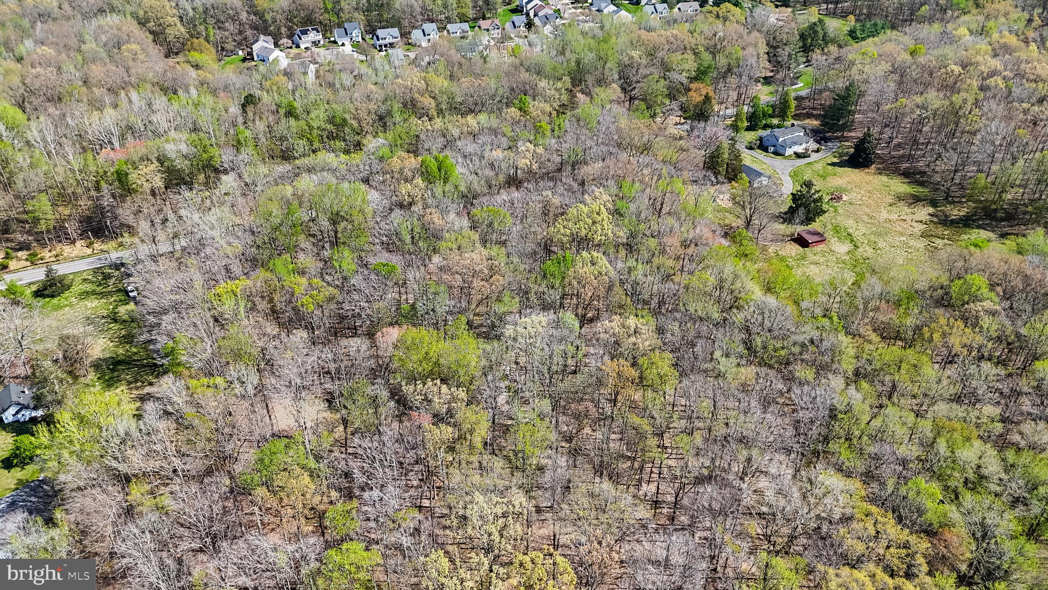 Lot 13 Billingsley Road White Plains, MD 20695 - Photo 10 of 20 a view of a yard