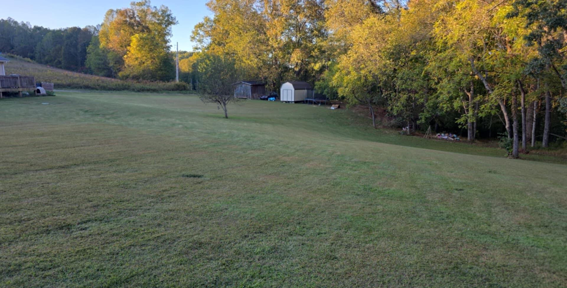 137 Maple Lick Subdivision Road Booneville, KY 41314 - Photo 23 of 25 2303815858495406131