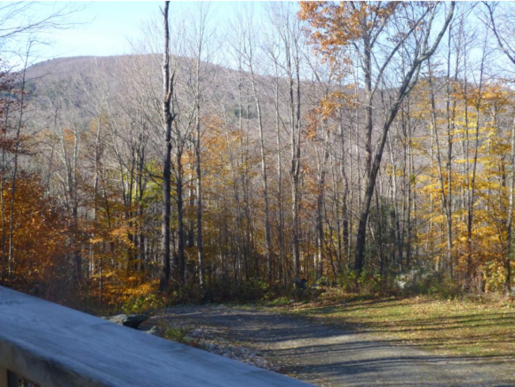 377 Hill West Road Montgomery, VT 05450 - Photo 29 of 29 Gallery Image 29