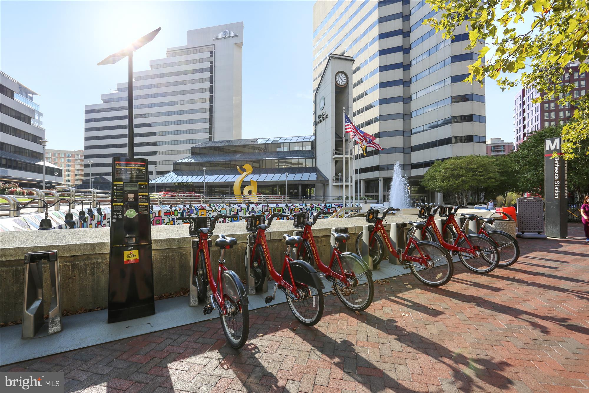 2700 Ross Road Chevy Chase, MD 20815 - Photo 51 of 54 Bethesda Bike Share