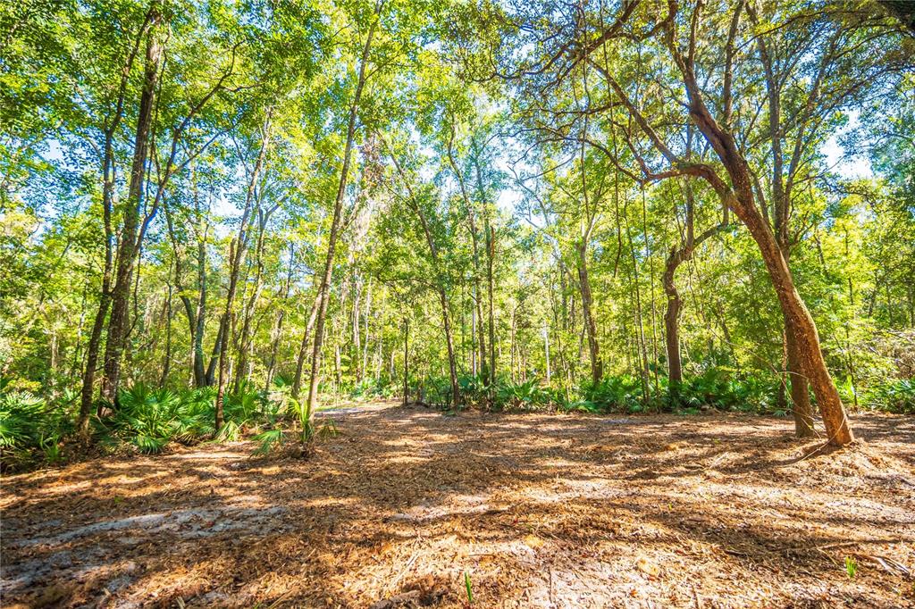 21490 Northwest 106th Court Road Micanopy, FL 32667 - Photo 1 of 1 a view of outdoor space and yard