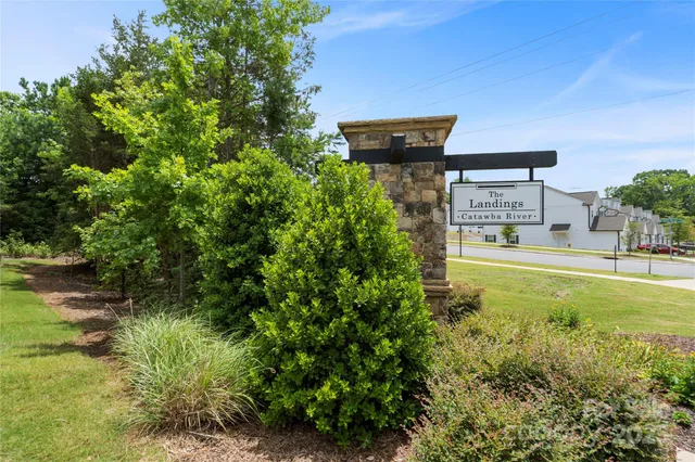 a view of a yard with plants