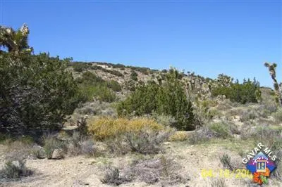 a view of a dry yard with mountains in the background