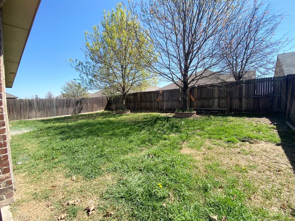 9717 Mystic Dunes Drive McKinney, TX 75072 - Photo 15 of 16 a view of a back yard with an tree and green space