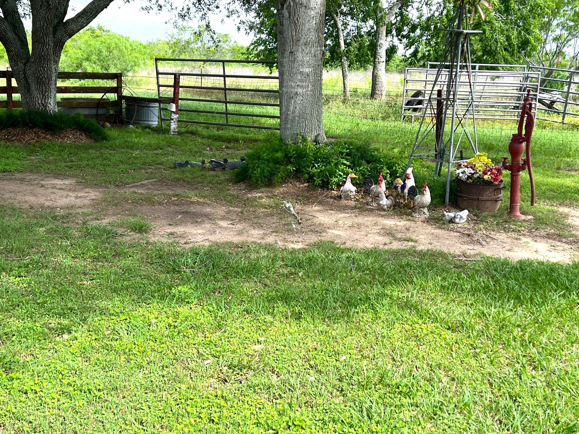 3798 Johnston Road Wallis, TX 77485 - Photo 35 of 38