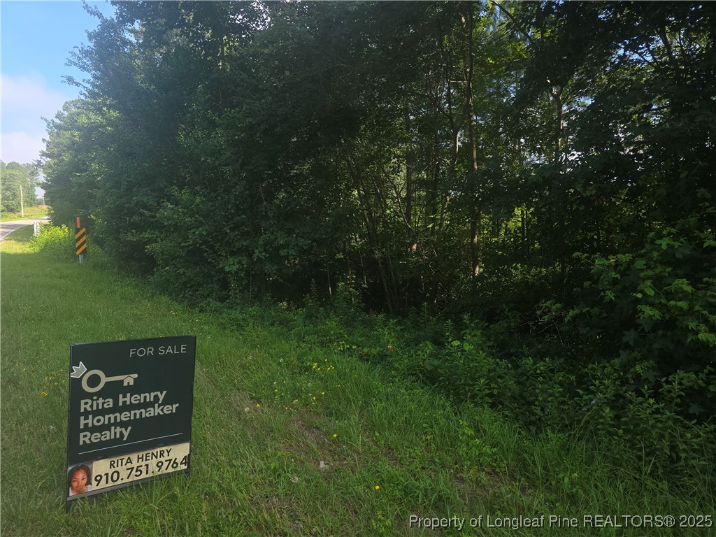 Rockfish Road Raeford, NC 28376 - Photo 2 of 3