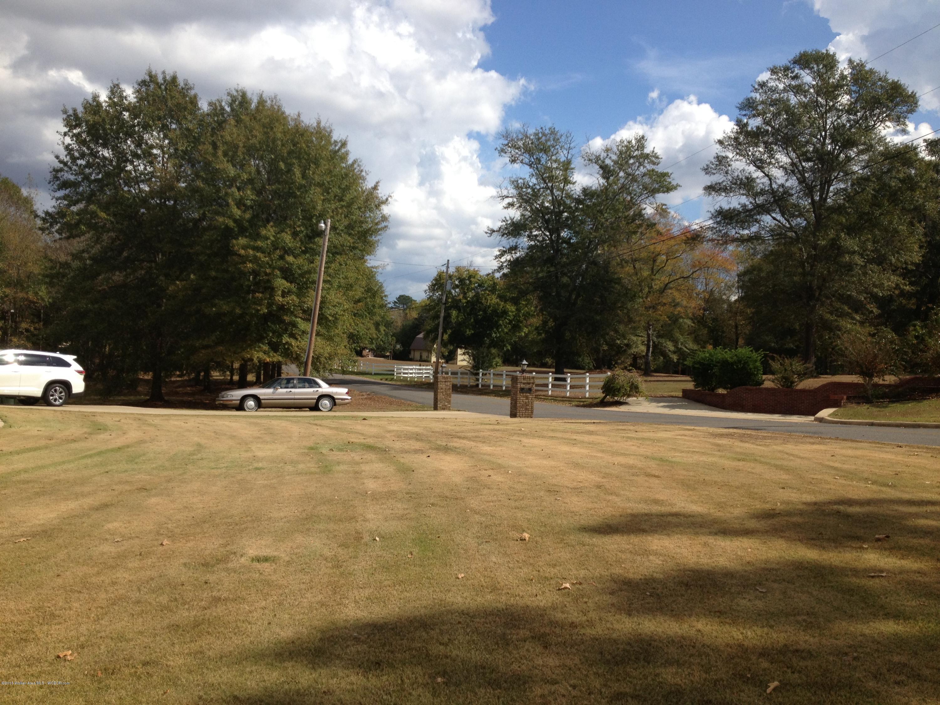 1402 Pineview Road Jasper, AL 35504 - Photo 23 of 28 Gallery Image 23
