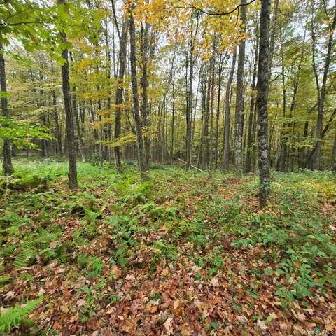 a view of outdoor space