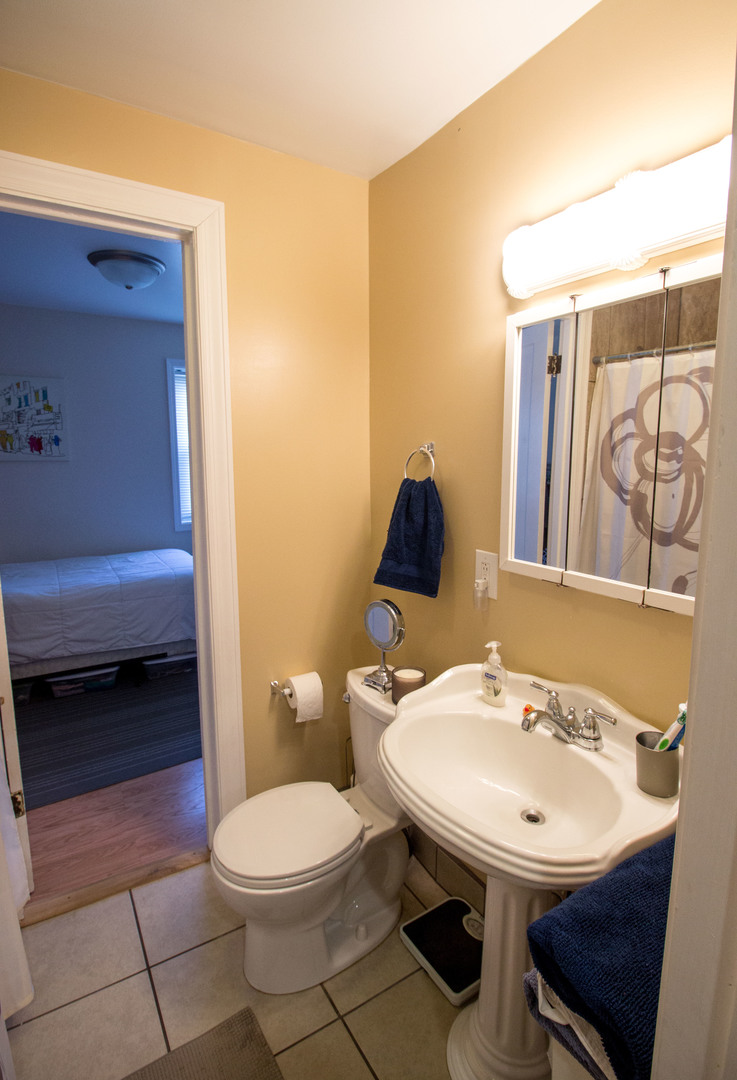 526 South York Street, Unit B Elmhurst, IL 60126 - Photo 8 of 15 a bathroom with a sink a toilet and a mirror