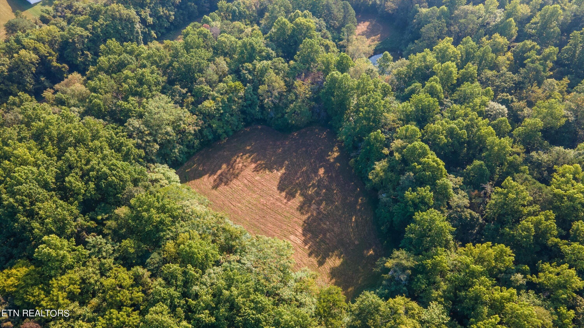 2 Narrow Valley Road Rutledge, TN 37861 - Photo 14 of 24 Gallery Image 14