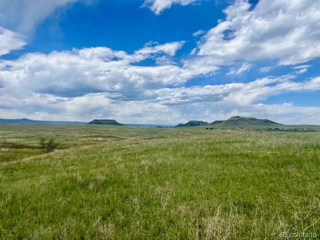 11977 Haskell Creek Road Larkspur, CO 80118 - Photo 27 of 29