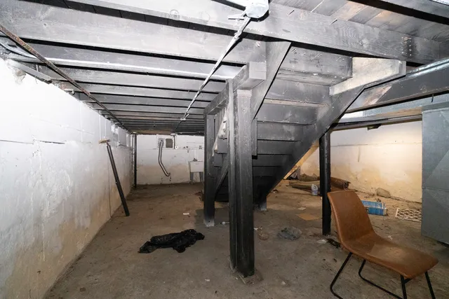 a view of a backyard with potted plants and large trees